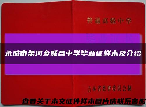 永城市条河乡联合中学毕业证样本及介绍缩略图