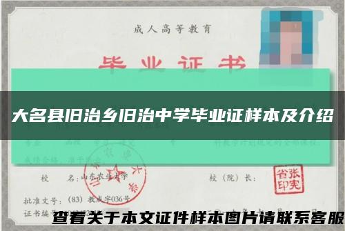 大名县旧治乡旧治中学毕业证样本及介绍缩略图