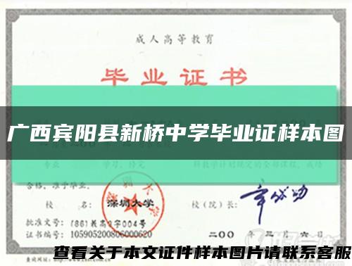 广西宾阳县新桥中学毕业证样本图缩略图