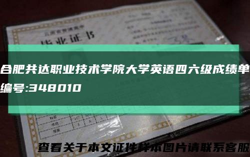 合肥共达职业技术学院大学英语四六级成绩单编号:348010缩略图