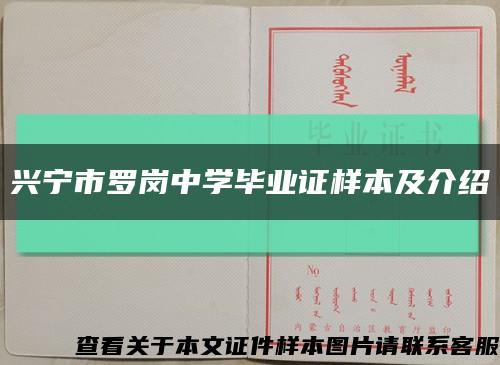 兴宁市罗岗中学毕业证样本及介绍缩略图