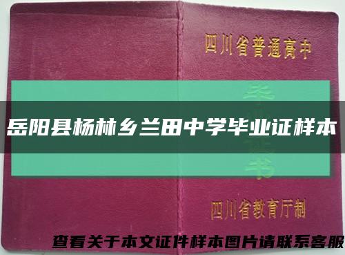 岳阳县杨林乡兰田中学毕业证样本缩略图