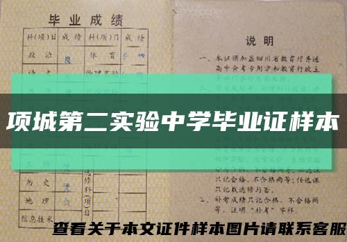 项城第二实验中学毕业证样本缩略图