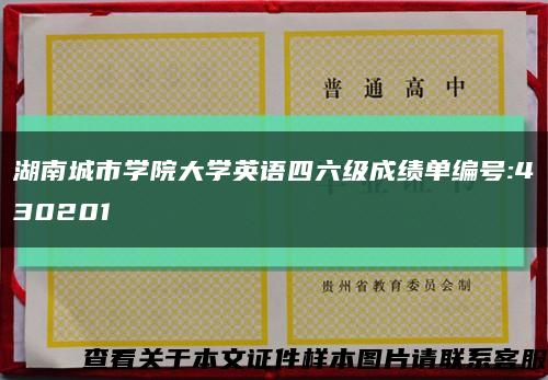 湖南城市学院大学英语四六级成绩单编号:430201缩略图