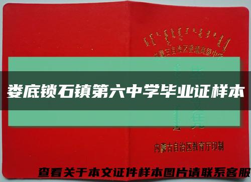 娄底锁石镇第六中学毕业证样本缩略图