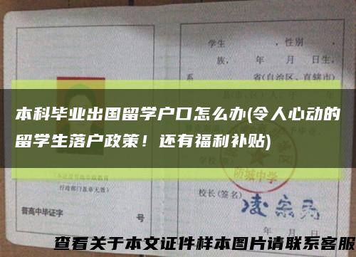 本科毕业出国留学户口怎么办(令人心动的留学生落户政策！还有福利补贴)缩略图