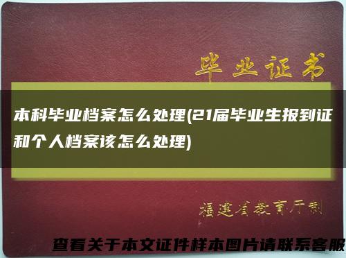 本科毕业档案怎么处理(21届毕业生报到证和个人档案该怎么处理)缩略图