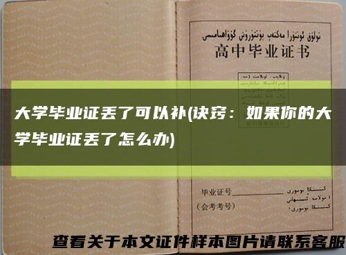 大学毕业证丢了可以补(诀窍：如果你的大学毕业证丢了怎么办)缩略图