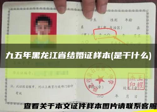 九五年黑龙江省结婚证样本(是干什么)缩略图