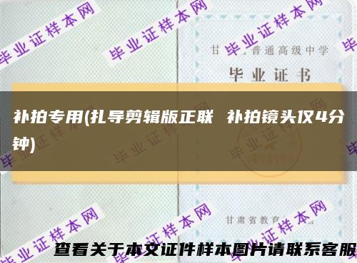 补拍专用(扎导剪辑版正联 补拍镜头仅4分钟)缩略图