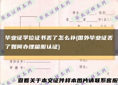 毕业证学位证书丢了怎么补(国外毕业证丢了如何办理留服认证)缩略图