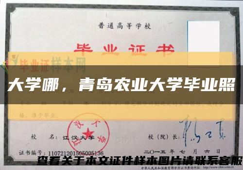 大学哪，青岛农业大学毕业照缩略图