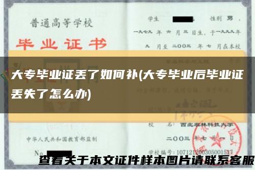 大专毕业证丢了如何补(大专毕业后毕业证丢失了怎么办)缩略图