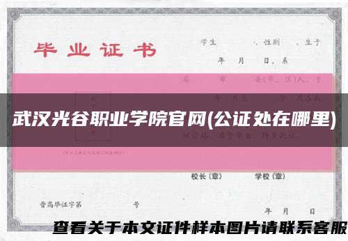 武汉光谷职业学院官网(公证处在哪里)缩略图