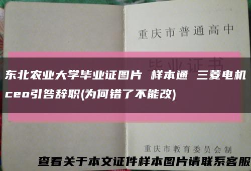 东北农业大学毕业证图片 样本通 三菱电机ceo引咎辞职(为何错了不能改)缩略图