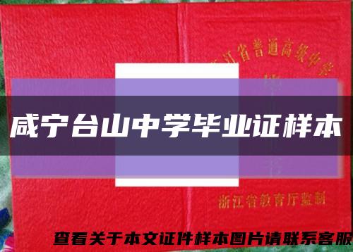 咸宁台山中学毕业证样本缩略图