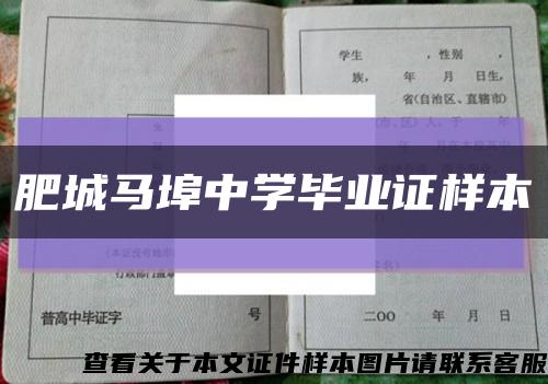 肥城马埠中学毕业证样本缩略图