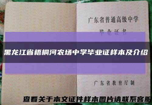 黑龙江省梧桐河农场中学毕业证样本及介绍缩略图