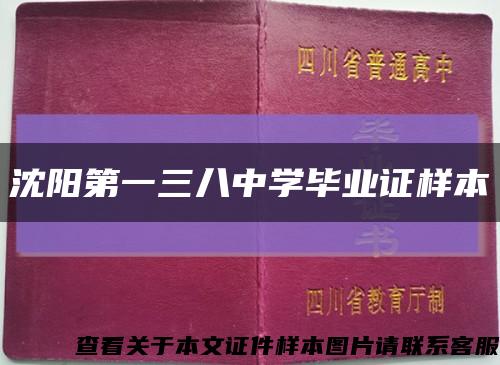 沈阳第一三八中学毕业证样本缩略图