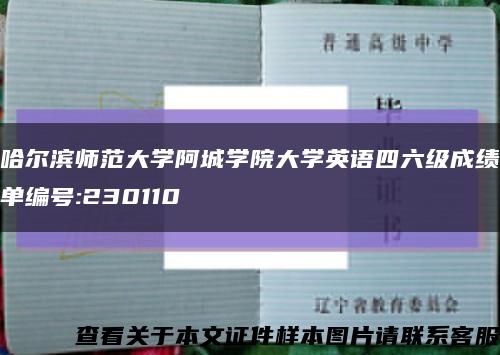 哈尔滨师范大学阿城学院大学英语四六级成绩单编号:230110缩略图