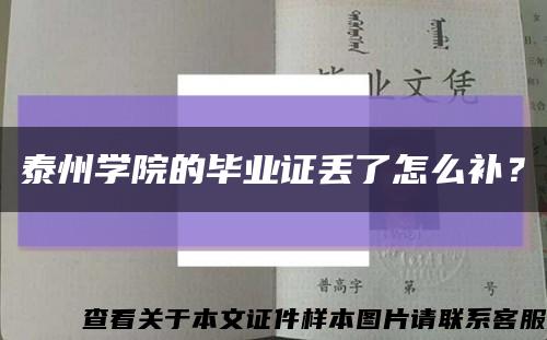 泰州学院的毕业证丢了怎么补？缩略图