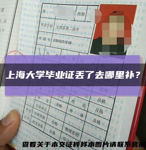 上海大学毕业证丢了去哪里补？缩略图