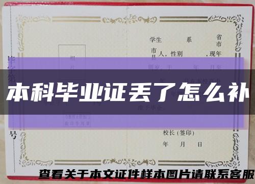 本科毕业证丢了怎么补缩略图