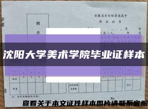 沈阳大学美术学院毕业证样本缩略图