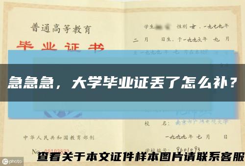 急急急，大学毕业证丢了怎么补？缩略图