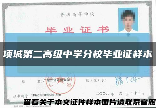 项城第二高级中学分校毕业证样本缩略图