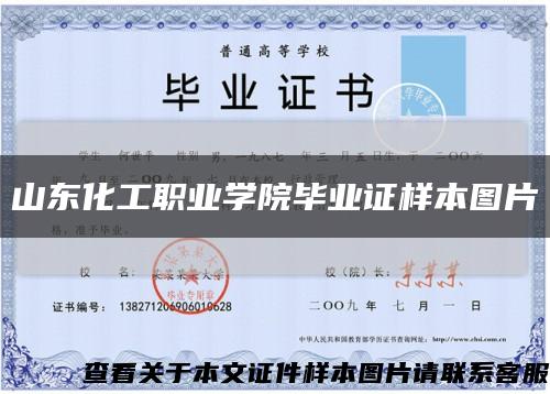 山东化工职业学院毕业证样本图片缩略图