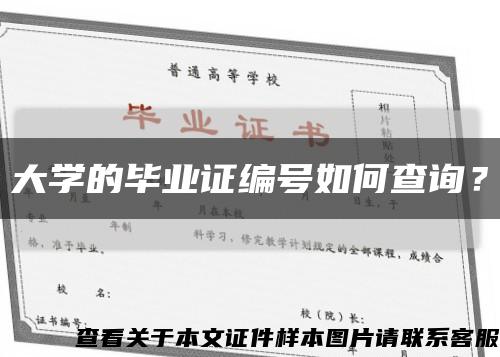 大学的毕业证编号如何查询？缩略图