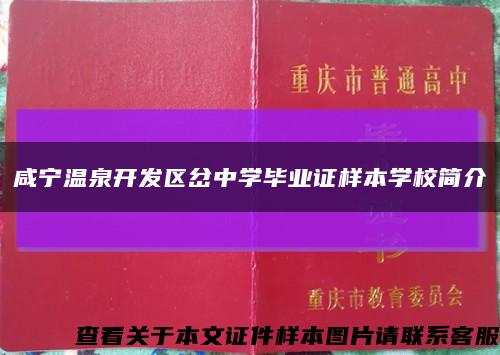 咸宁温泉开发区岔中学毕业证样本学校简介缩略图