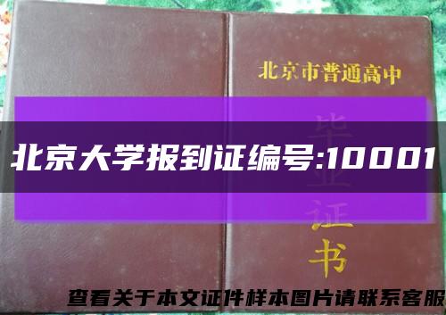 北京大学报到证编号:10001缩略图