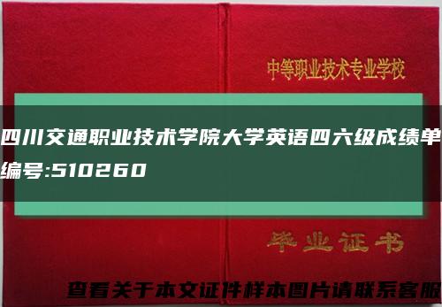 四川交通职业技术学院大学英语四六级成绩单编号:510260缩略图