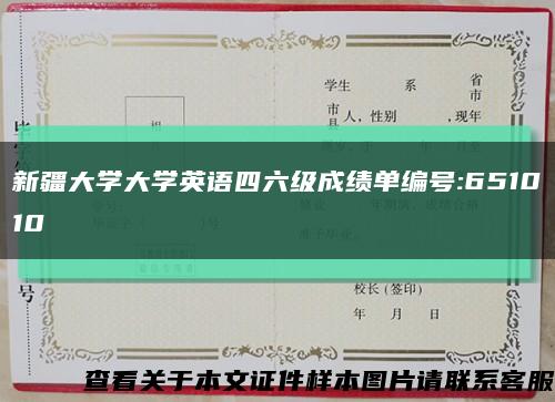 新疆大学大学英语四六级成绩单编号:651010缩略图