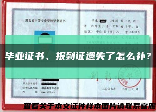 毕业证书、报到证遗失了怎么补？缩略图