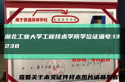 湖北工业大学工程技术学院学位证编号:13238缩略图