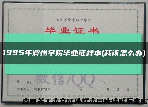 1995年滁州学院毕业证样本(我该怎么办)缩略图