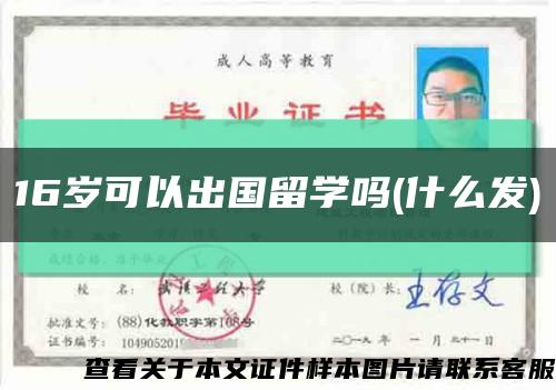 16岁可以出国留学吗(什么发)缩略图