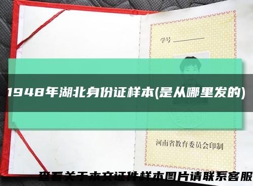 1948年湖北身份证样本(是从哪里发的)缩略图