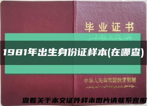 1981年出生身份证样本(在哪查)缩略图