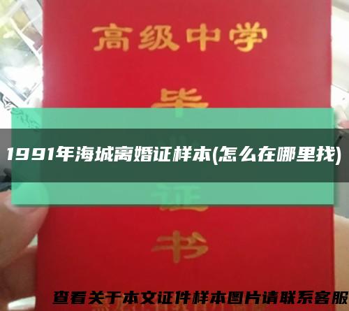 1991年海城离婚证样本(怎么在哪里找)缩略图