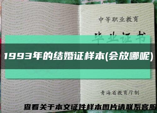 1993年的结婚证样本(会放哪呢)缩略图