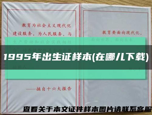 1995年出生证样本(在哪儿下载)缩略图