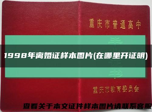 1998年离婚证样本图片(在哪里开证明)缩略图