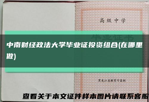 中南财经政法大学毕业证投资组合(在哪里做)缩略图