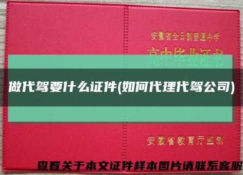 做代驾要什么证件(如何代理代驾公司)缩略图