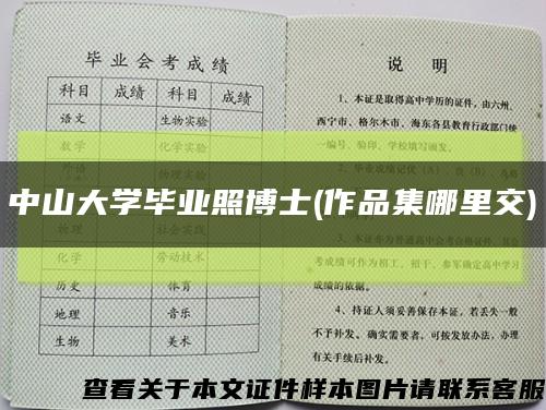 中山大学毕业照博士(作品集哪里交)缩略图