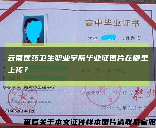 云南医药卫生职业学院毕业证图片在哪里上传？缩略图